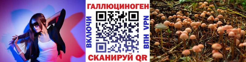 Псилоцибиновые грибы Magic Shrooms  mega tor  Сураж  нарко площадка состав  наркота 